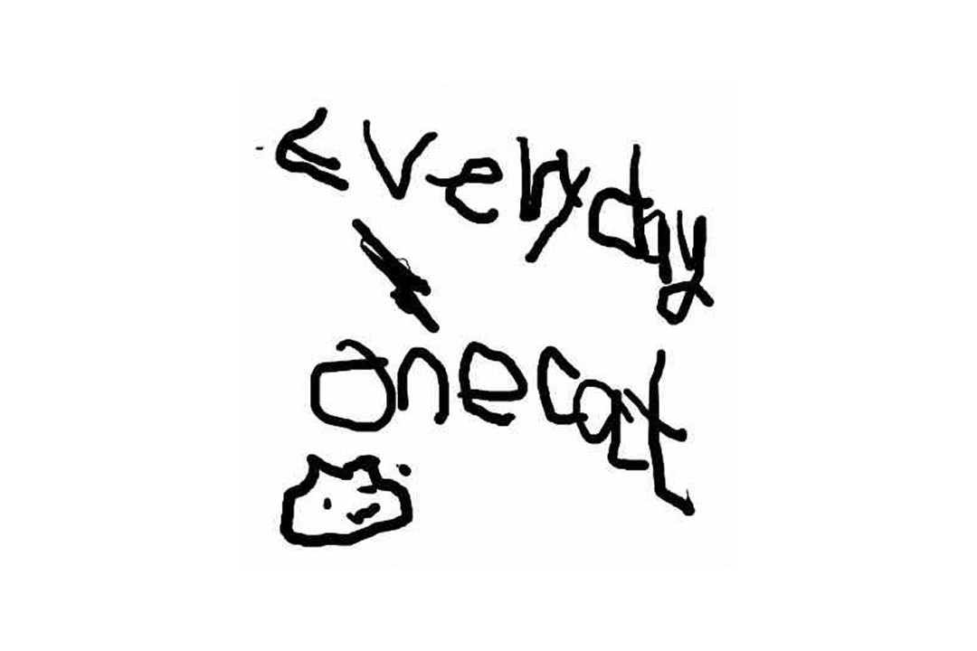 everydayonecat