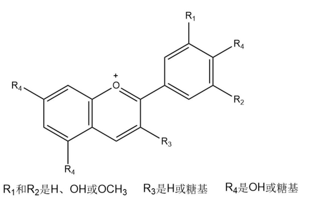 花青素 百度百科