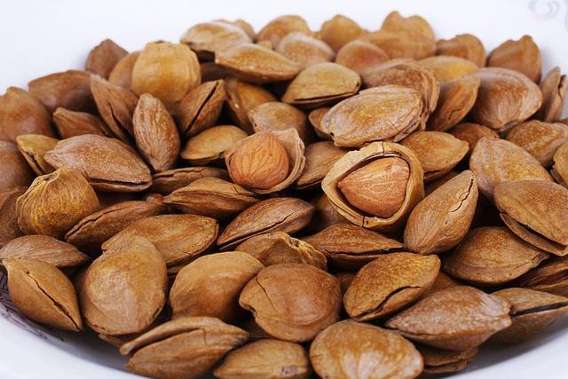 含有苦杏仁甙,脂肪油,糖分,蛋白质,树脂,扁豆甙和杏仁油等等,是滋养