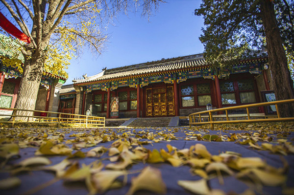 文化和旅游部恭王府博物馆
