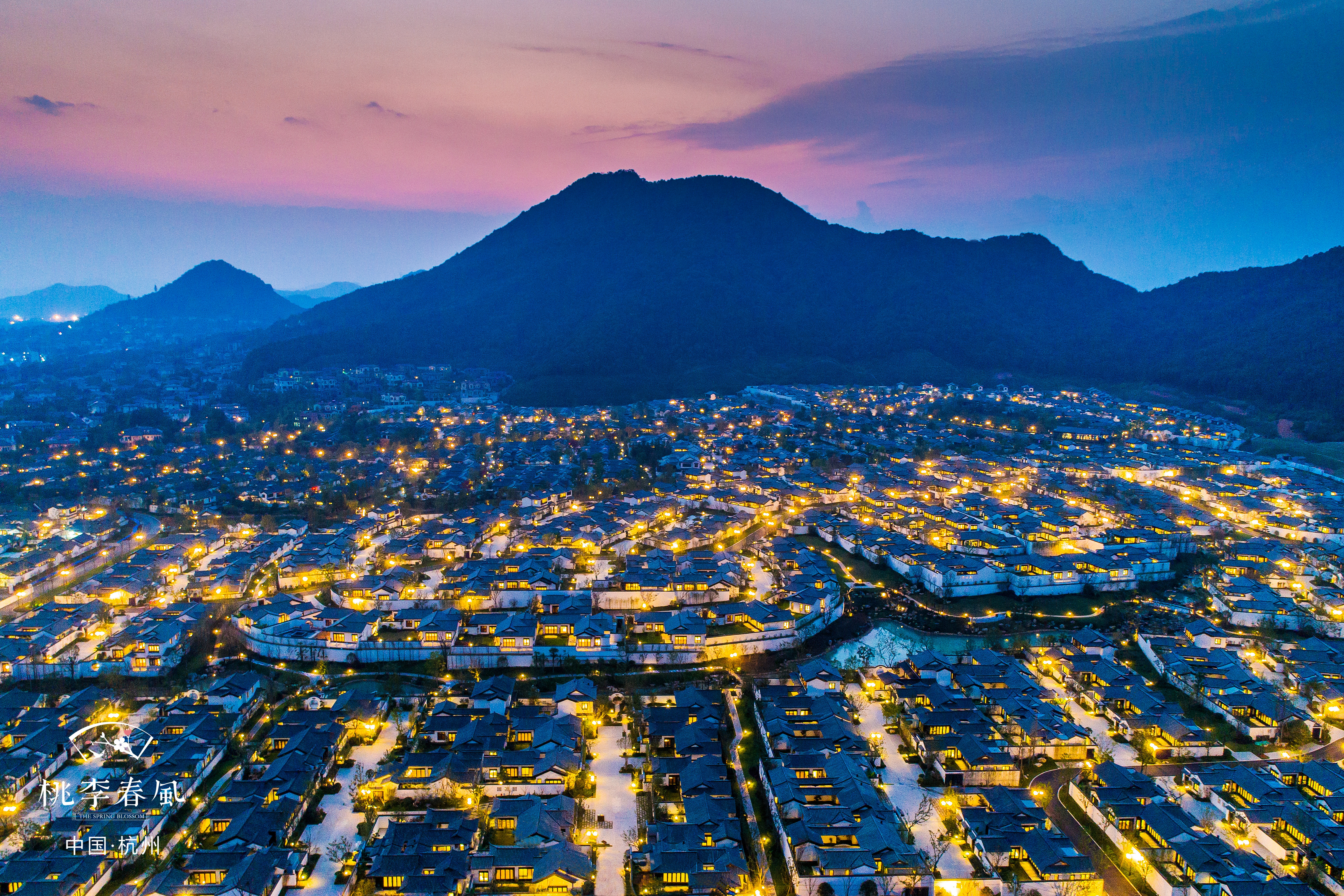 杭州桃李春风