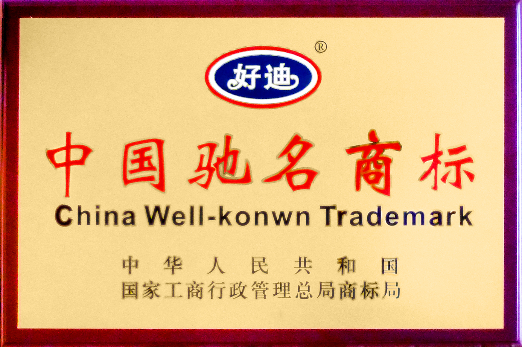 广州好迪集团有限公司