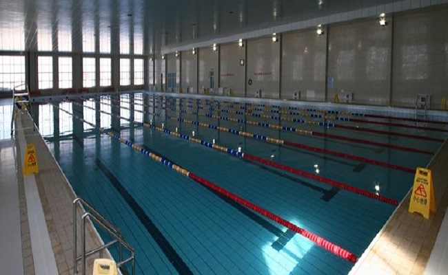 沈坚强游泳俱乐部