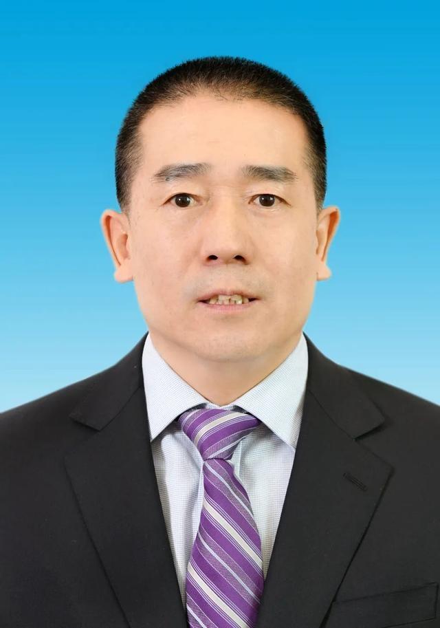  p>  张金马,男,汉族,中共党员,1968年8月出生,内蒙古达拉特旗, a