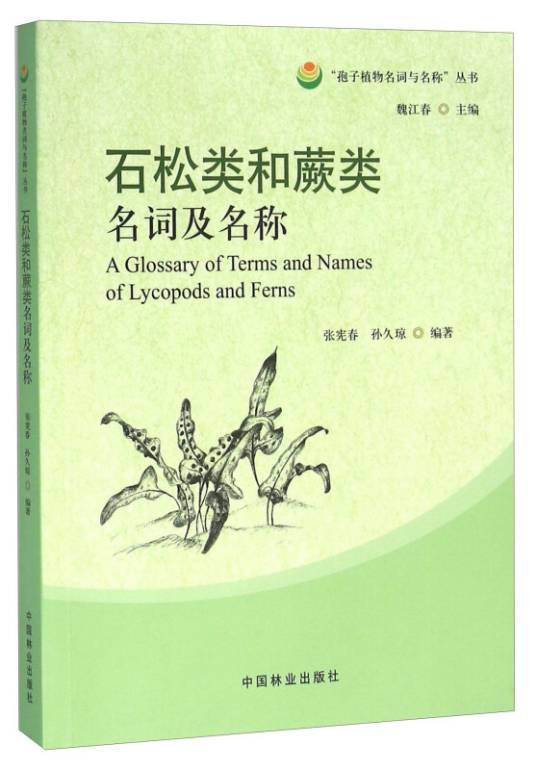 石松类和蕨类名词及名称_百度百科