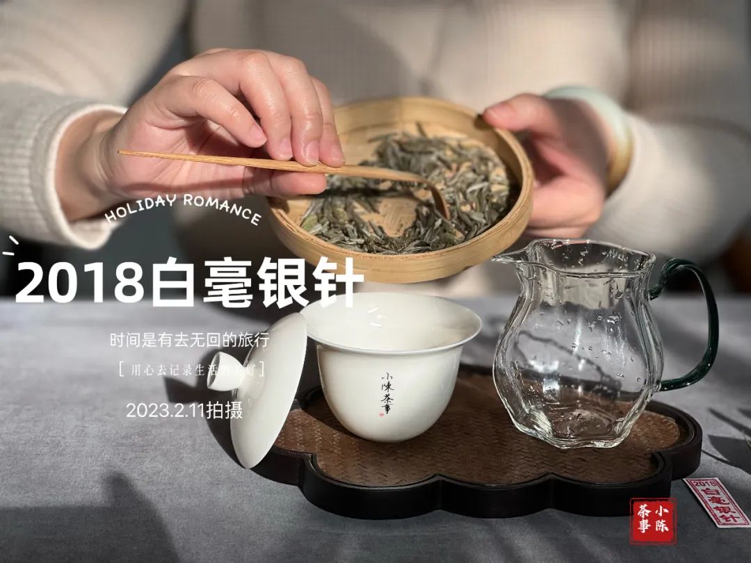 369 年份老茶　白茶　84g✖️4 新品上市| 369年份老白茶系列