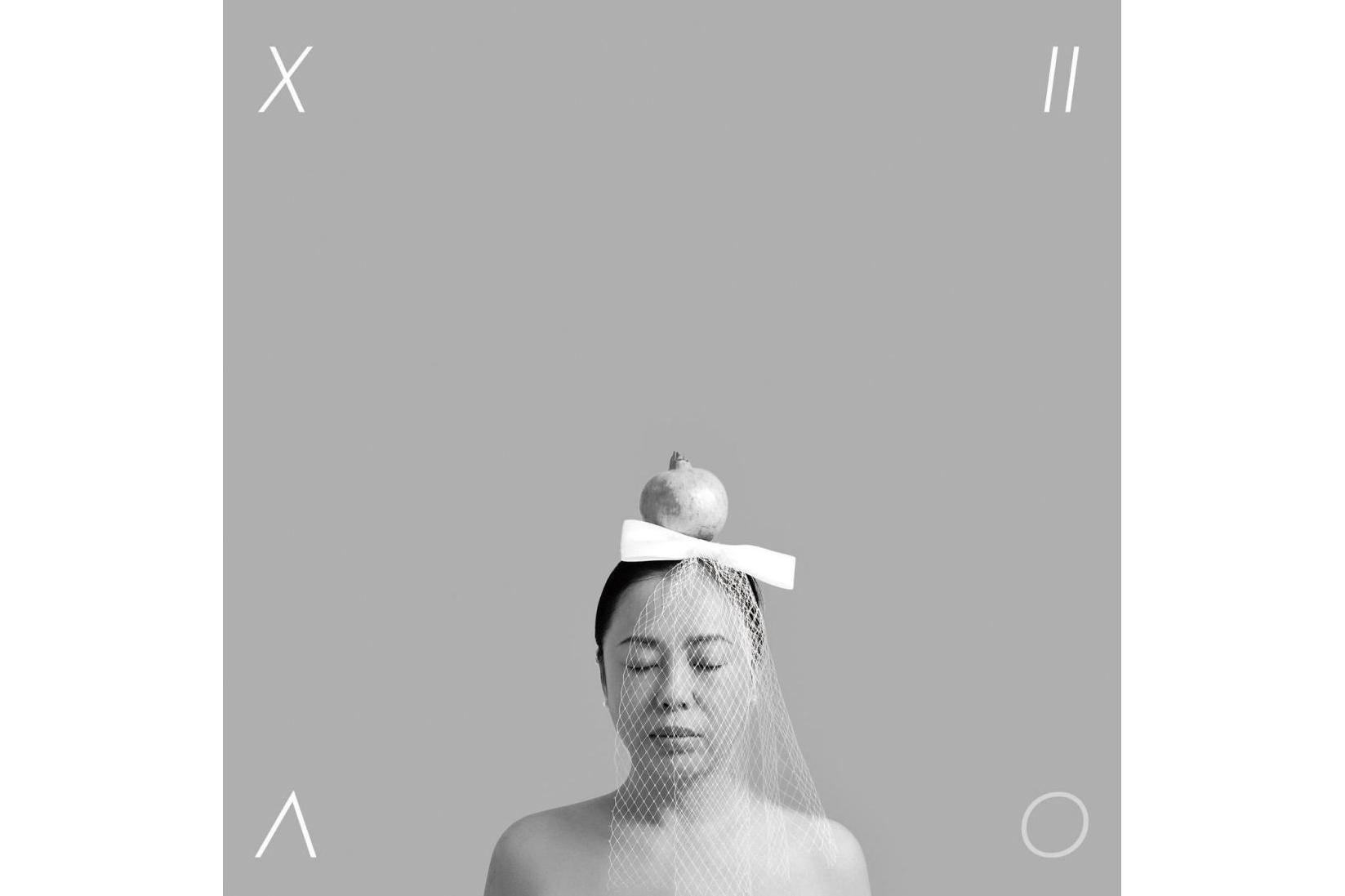 蠢货歌曲(蠢货歌曲表达的是什么意思)