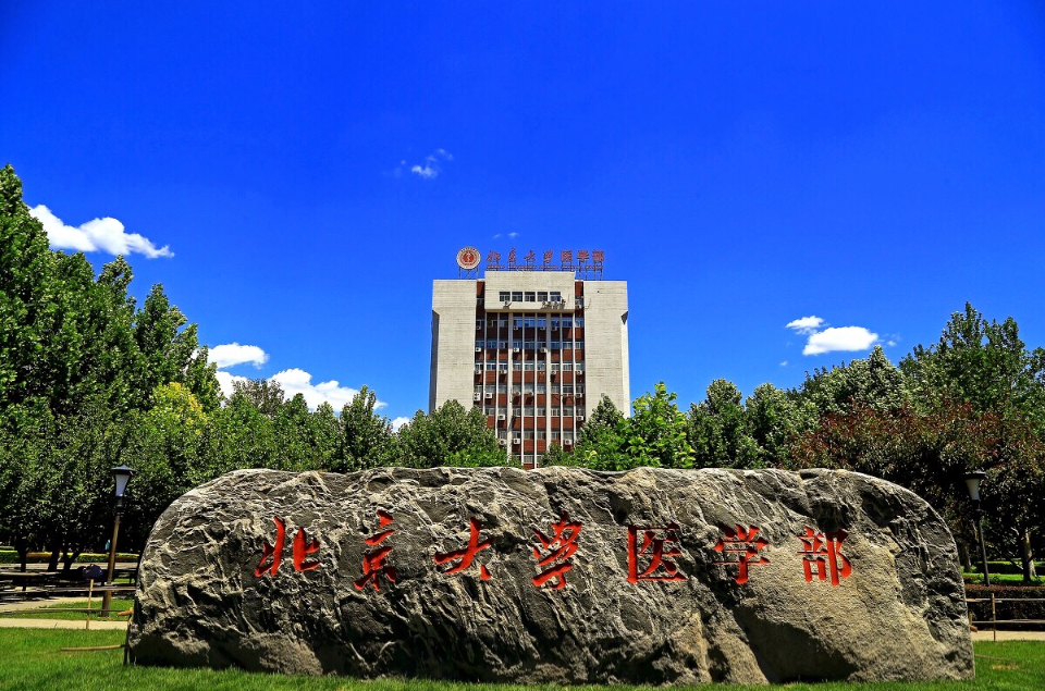 北京大学医学部