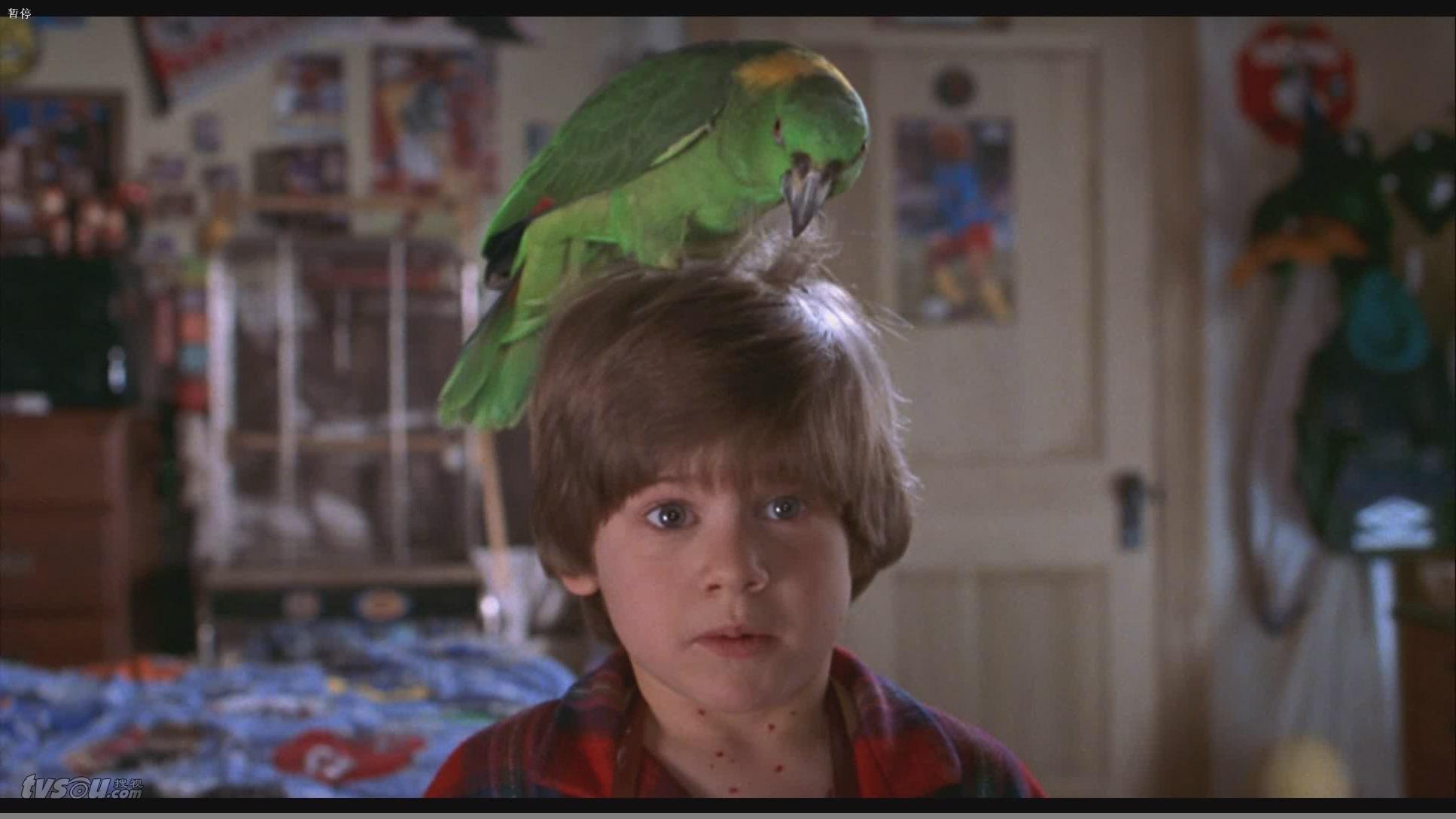 小鬼当家3homealone3(1997)