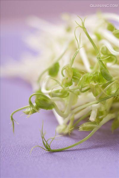 豆芽菜