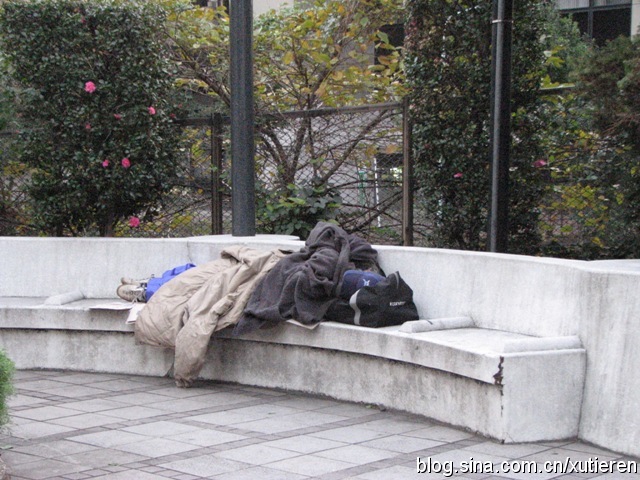 褴褛