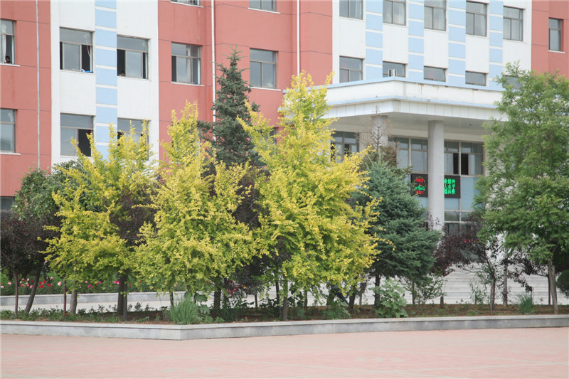 建平第一高级中学