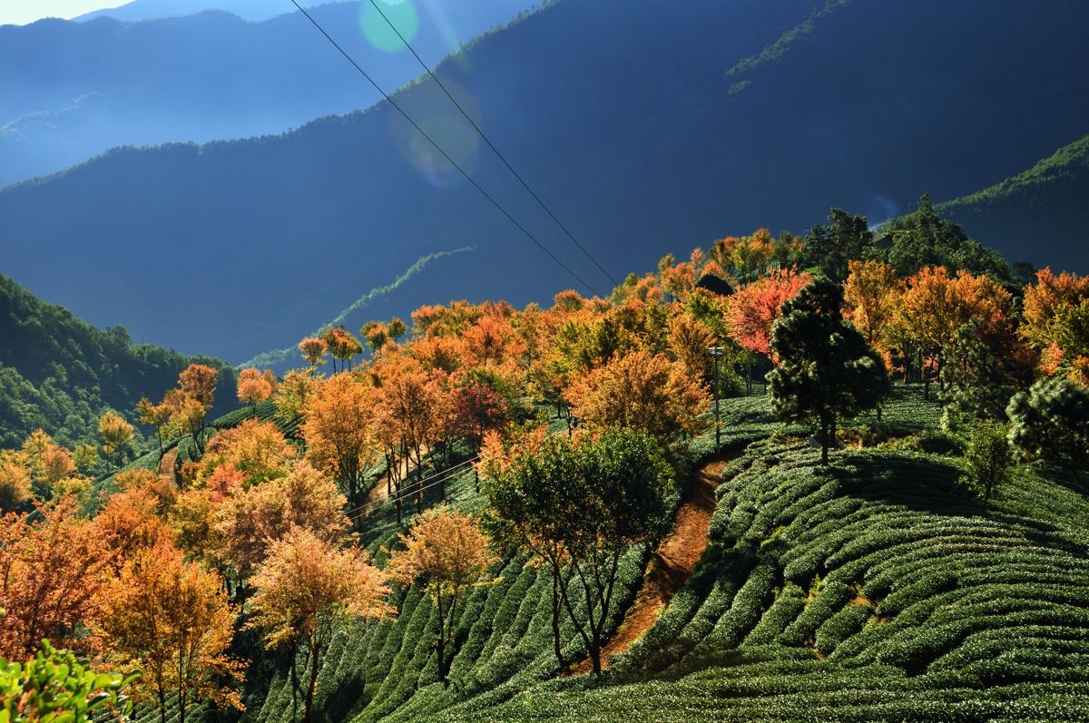 无量山自然风景保护区