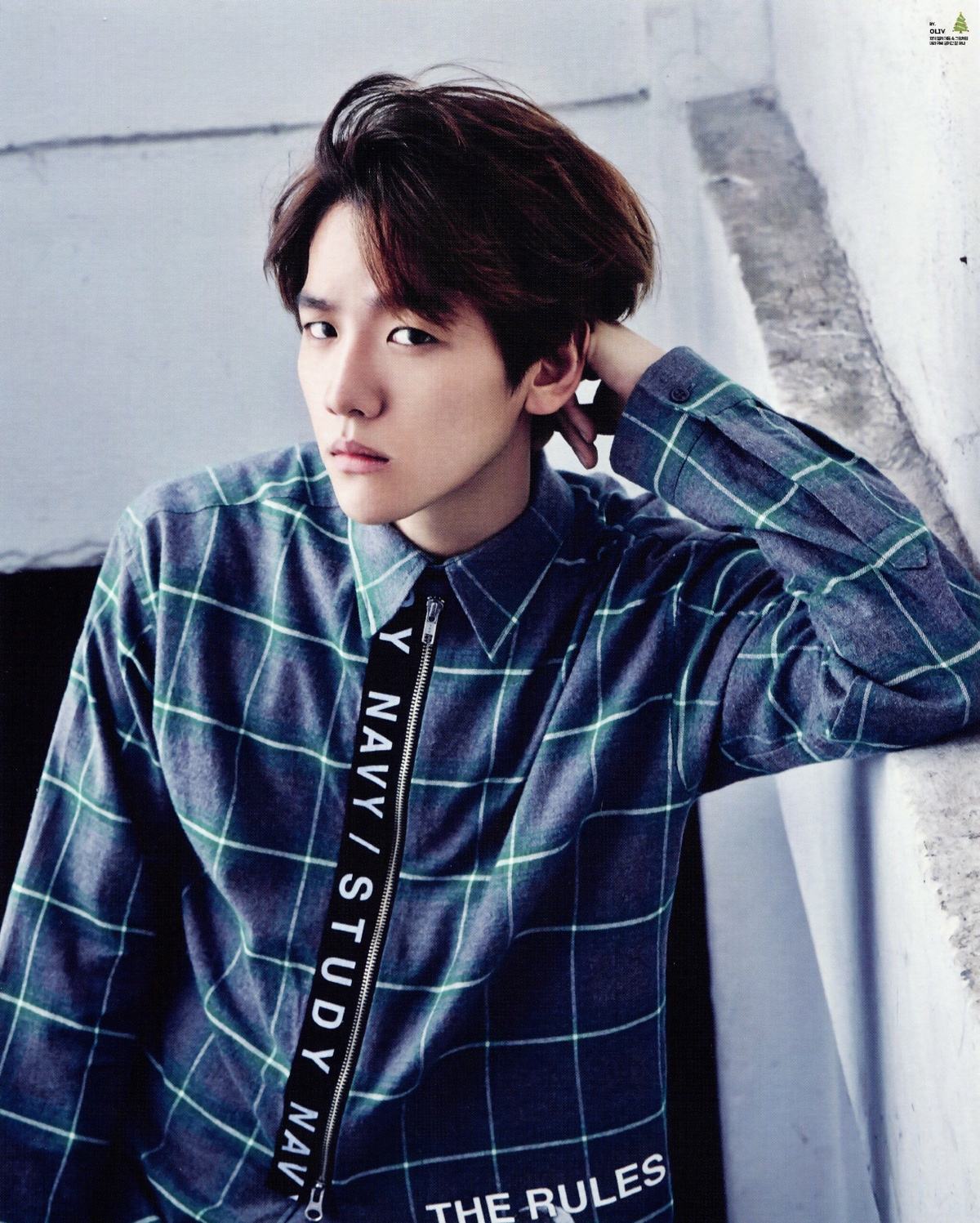  p>边伯贤,艺名baek hyun,1992年5月6日生于韩国京畿道富川市,韩国男