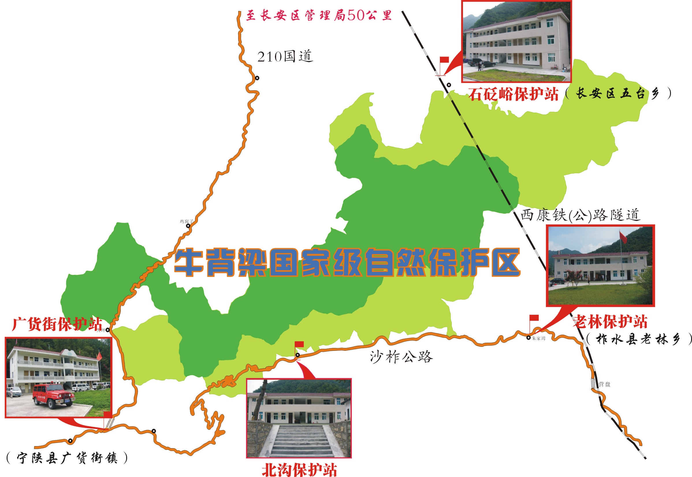  p>牛背梁国家级自然保护区位于 a target="_blank" href="/item/秦岭
