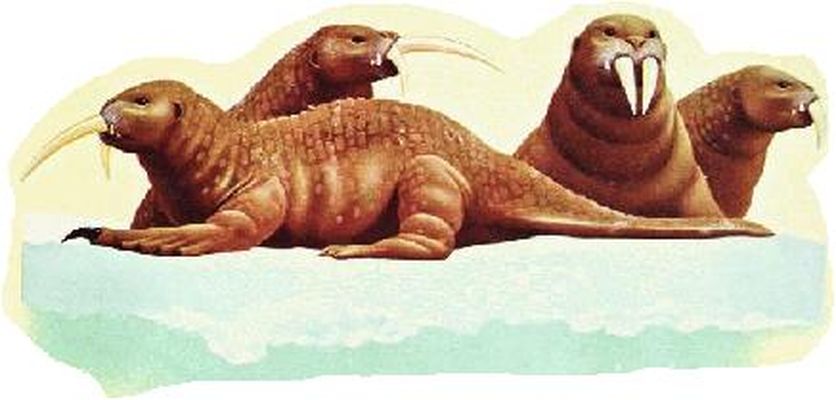  p>《未来世界的动物》是2008年1月 a target="_blank" href="/item