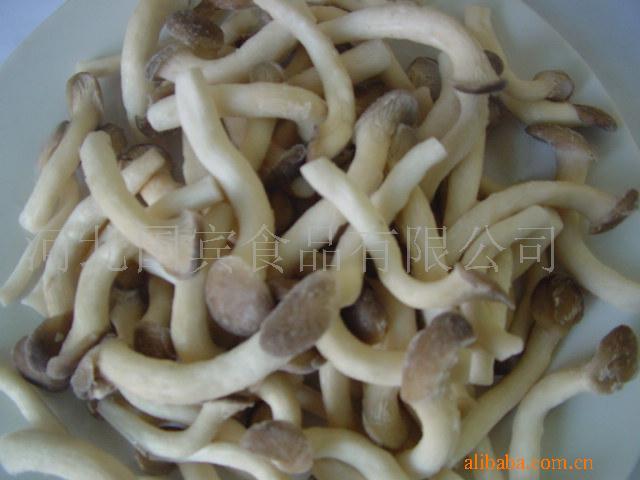  p>姬菇,是独特的 a target="_blank" href="/item/平菇/2098911"