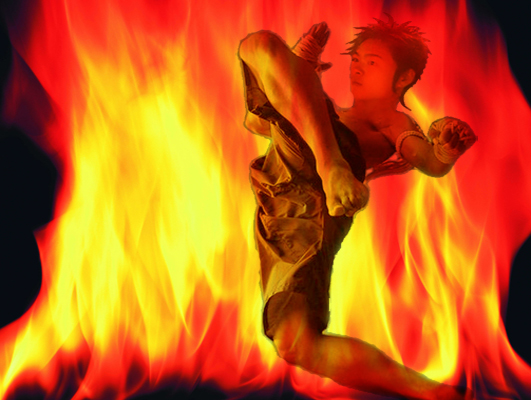  p>裴氏泰拳素有八臂拳之称,四肢八体注意使用,其出拳发腿用肘使膝