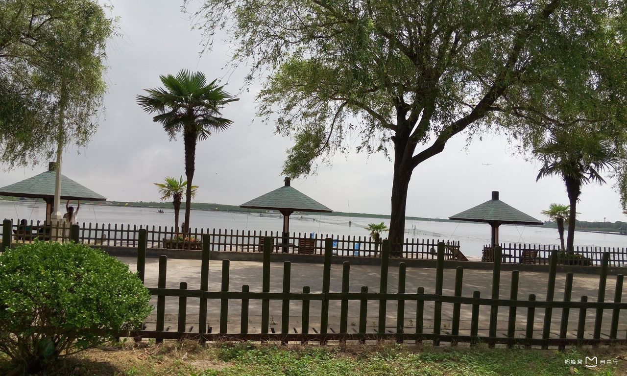 三甲港
