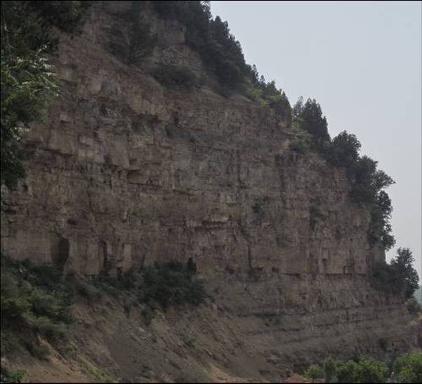  p>华北区 a target="_blank" href="/item/二叠系">二叠系 /a>中统岩