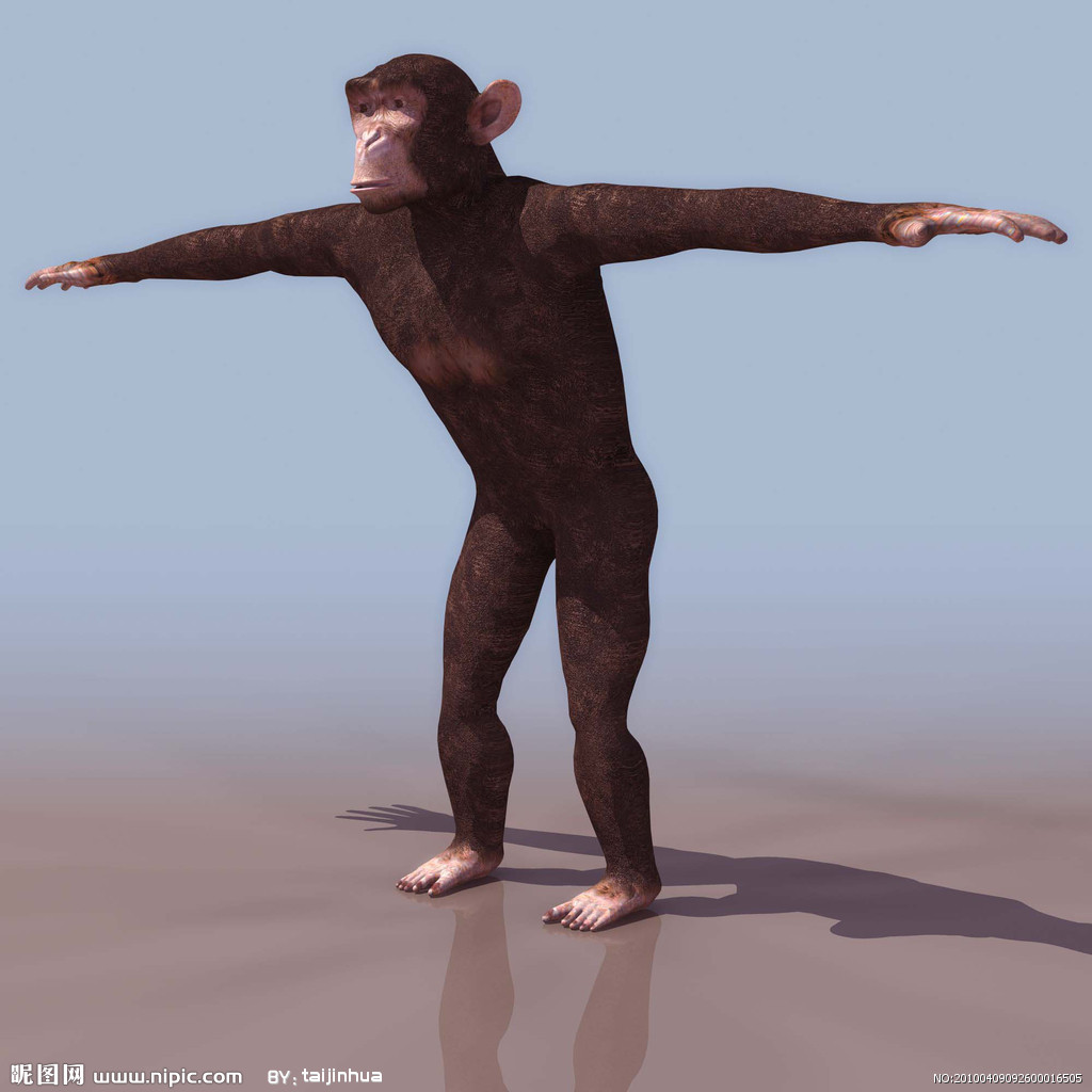  p>猩猩也叫 a target="_blank" href="/item/人猿/2032856" data