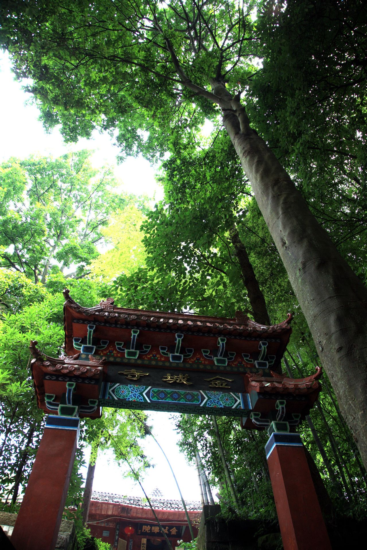 金城山森林公园