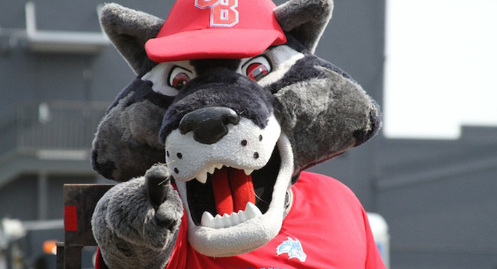 state university of new york at stony brook),又名石溪大学,简称