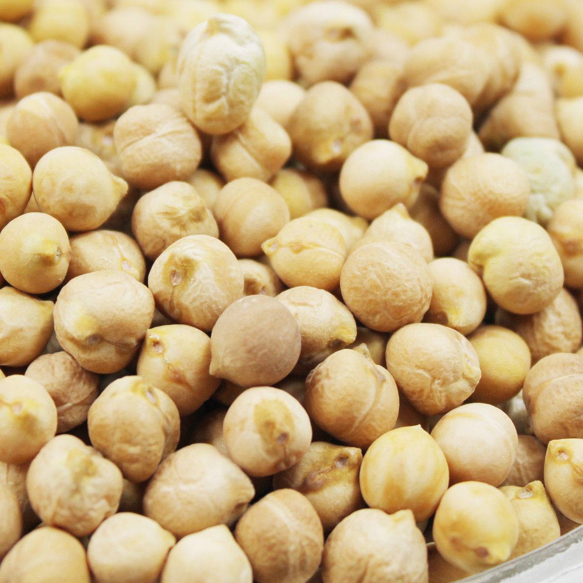  p>鹰嘴豆(学名: i>cicer arietinum /i> linn.)是豆科鹰嘴豆属植物.