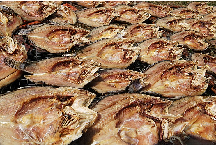  p>鱼干是指将新鲜鱼类经充分晒干而成.