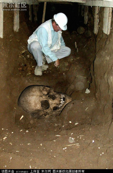  p>古代巨人族在世界各地都有发现,他们和恐龙同一个时代,因为在白垩