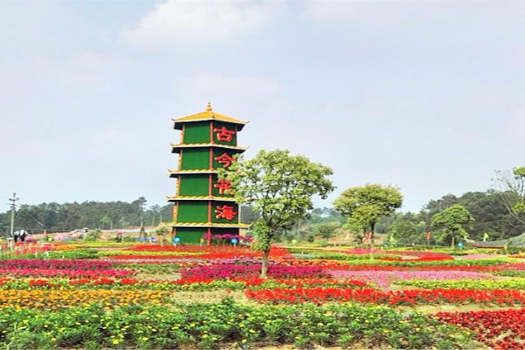  p>古今花海位于重庆市涪陵区马武镇惠民乡方碑村. /p>