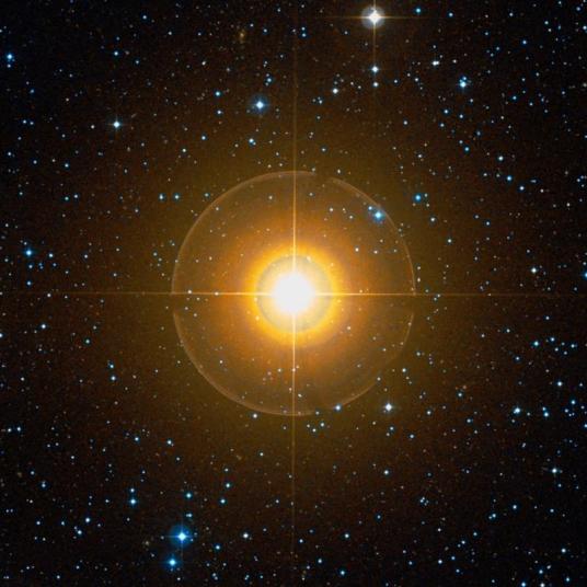 Vortex beta cancri