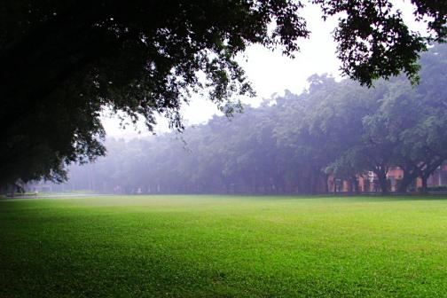 中区草坪（烟雨迷蒙）