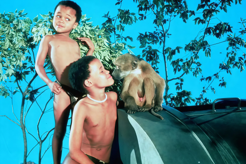 《上帝也疯狂2》剧照