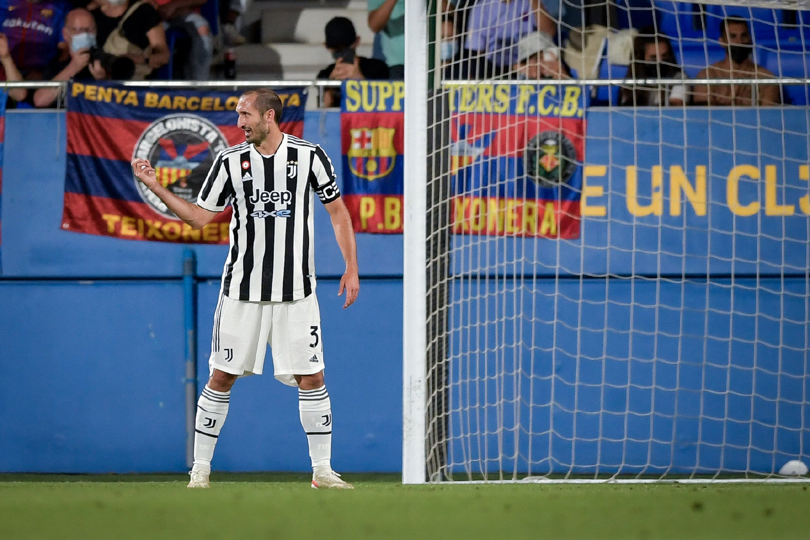 焦尔焦·基耶利尼