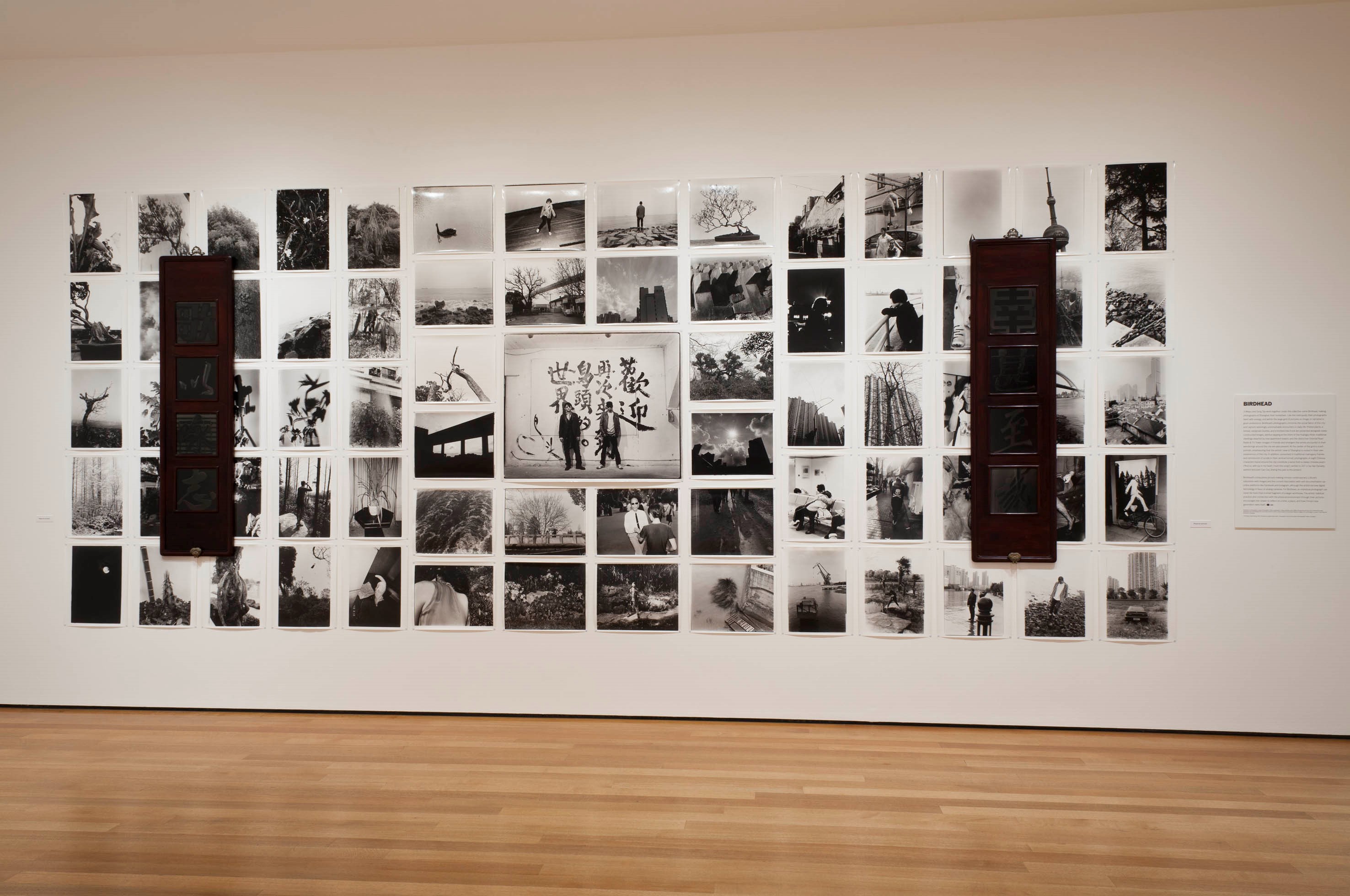  p data-id="sxlz8vlqhu2c">鸟头,成立于2004年,是当代知名的艺术家