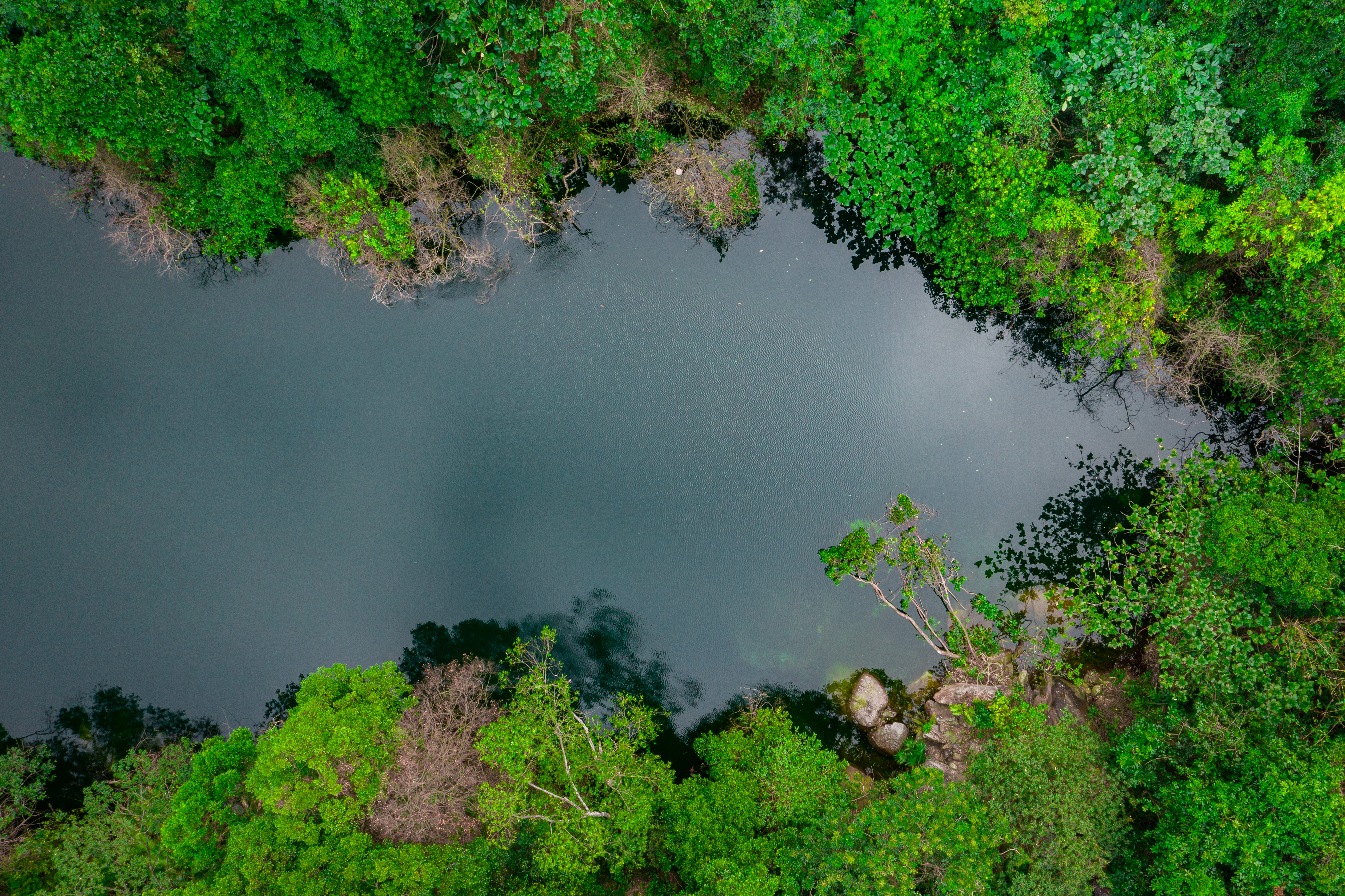  p>笔架山旅游区,位于清远市清新区笔架山林场,距离市区约5公里,笔架
