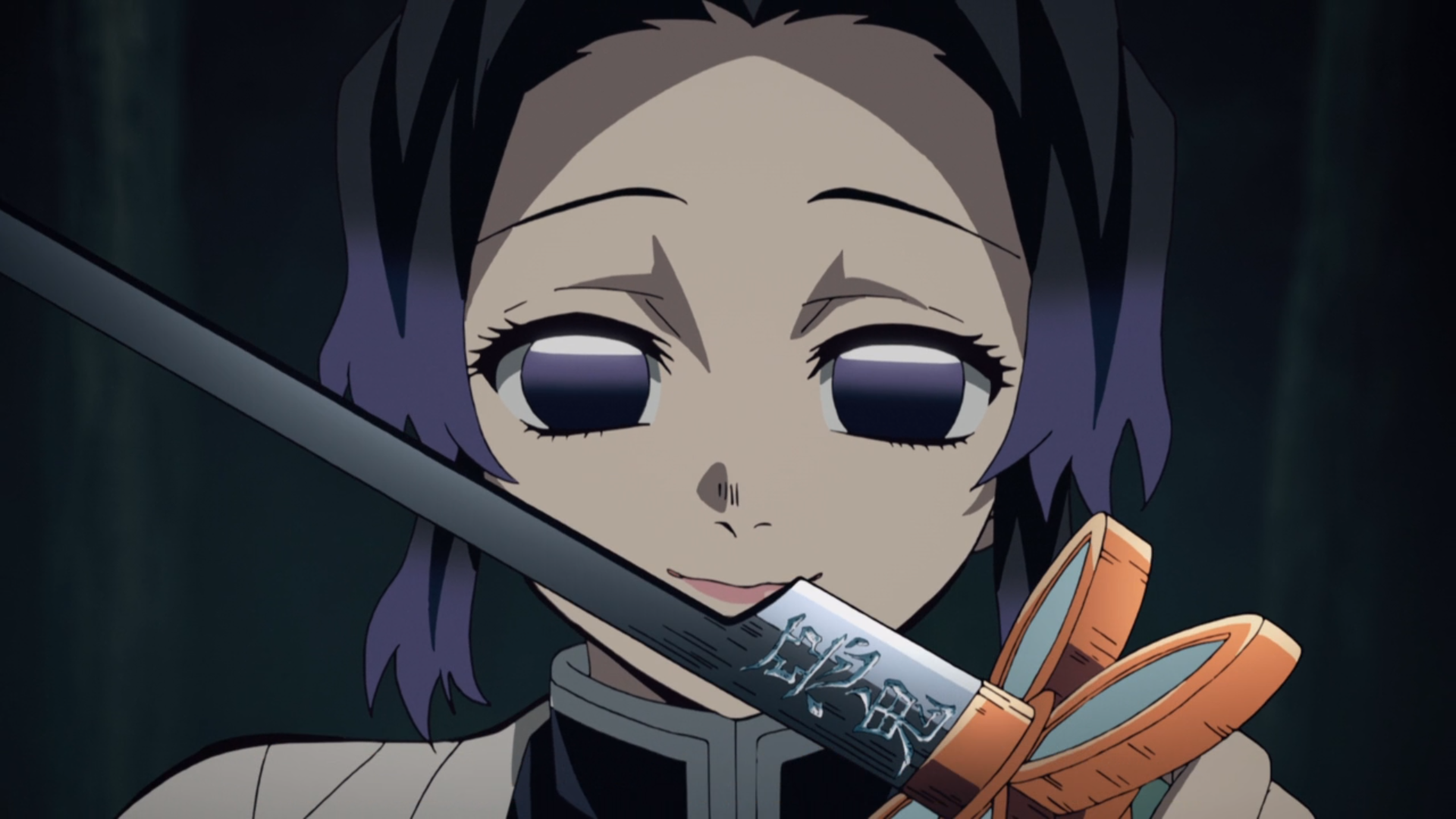  p data-id="go5nbaosgo">蝴蝶忍,漫画《 a target="_blank" href="