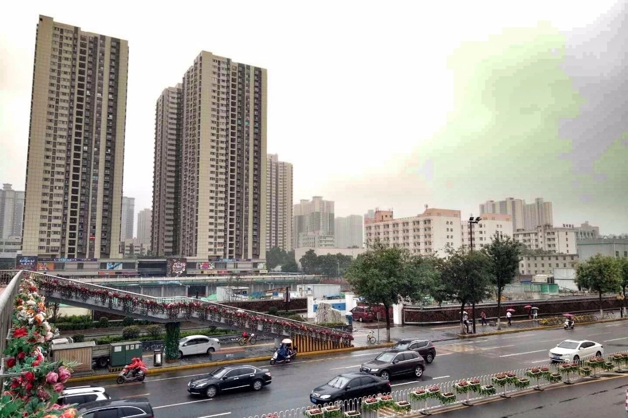 主要分布于雁南一路西段主干道两侧——东八里村1区:1至4号楼,东八里
