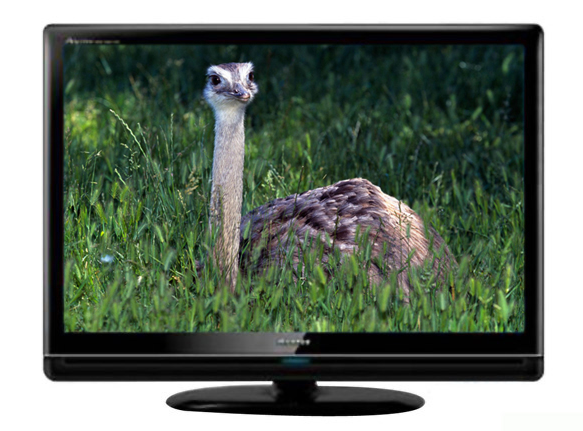  p>海信42v67pk是一款海信电视, 屏幕比例为 16:9 . /p>