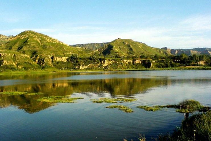 区黄河南滩,占地面积8平方公里,是洽川国家重点风景名胜区的一部分