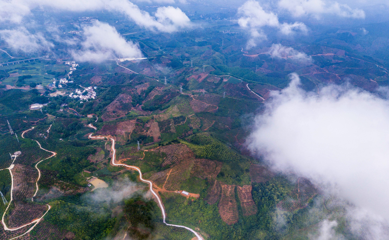  p>林逢镇,隶属于广西壮族自治区百色市田东县,地处 a target="_blank