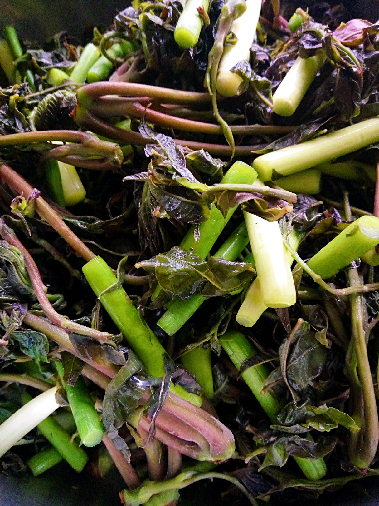 树上的鲜香-腌香椿芽