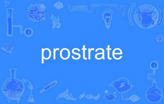 prostrate_百度百科