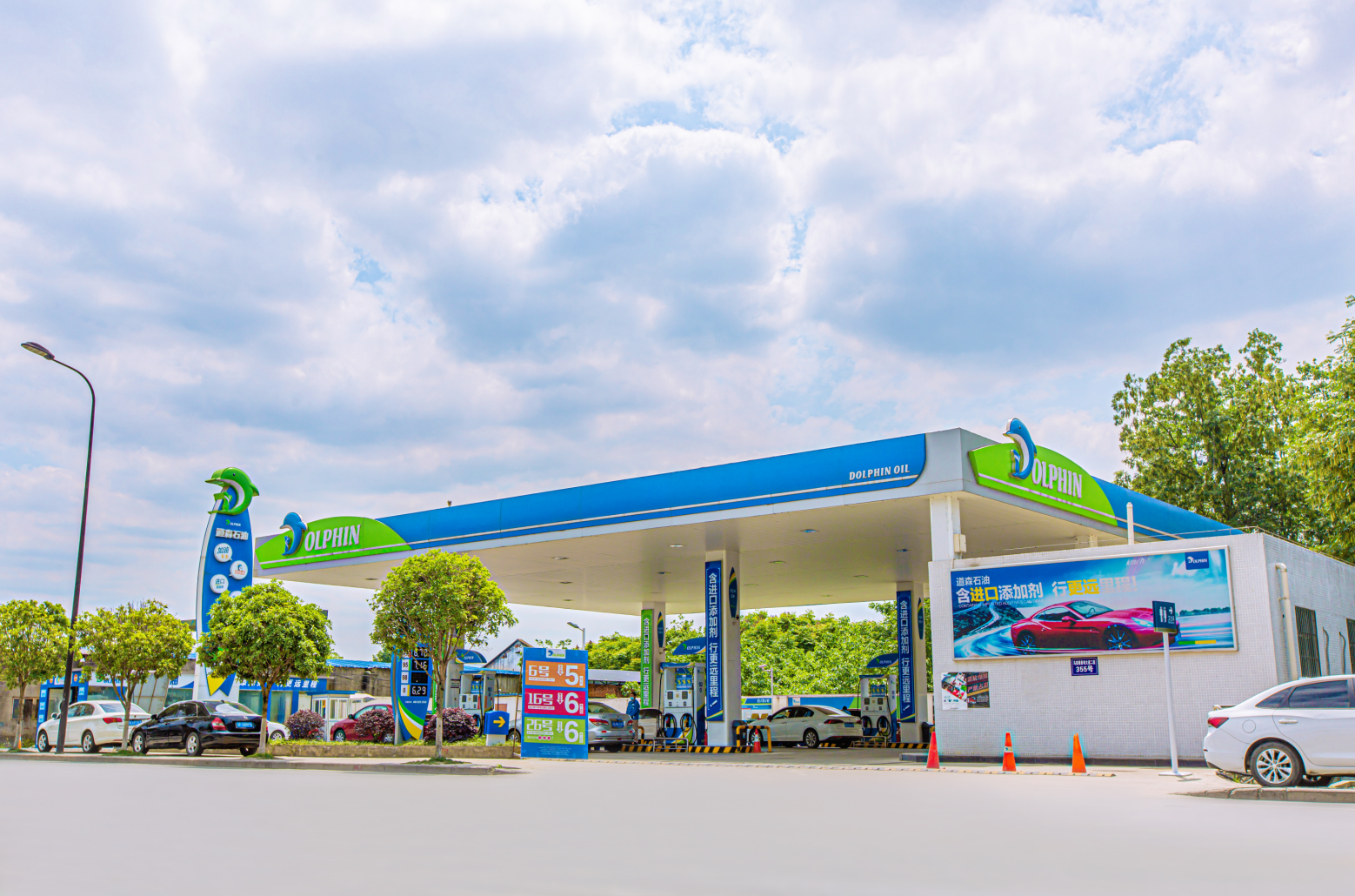 道森能源 dolphin