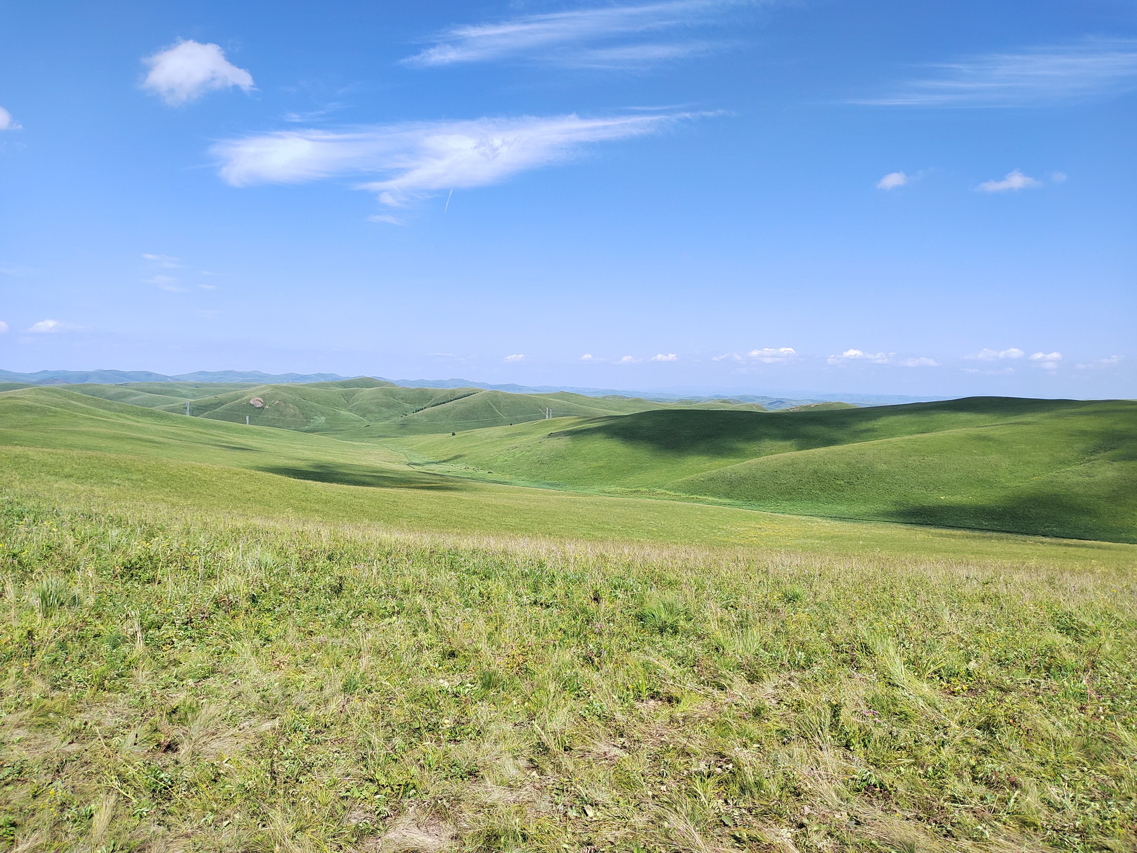 扎鲁特山地草原旅游区