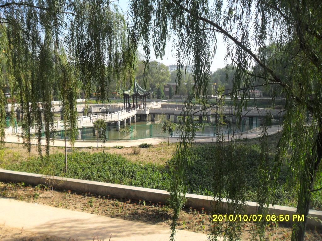 target="_blank" href="/item/南山公园">南山公园 /a>位于柳林县307