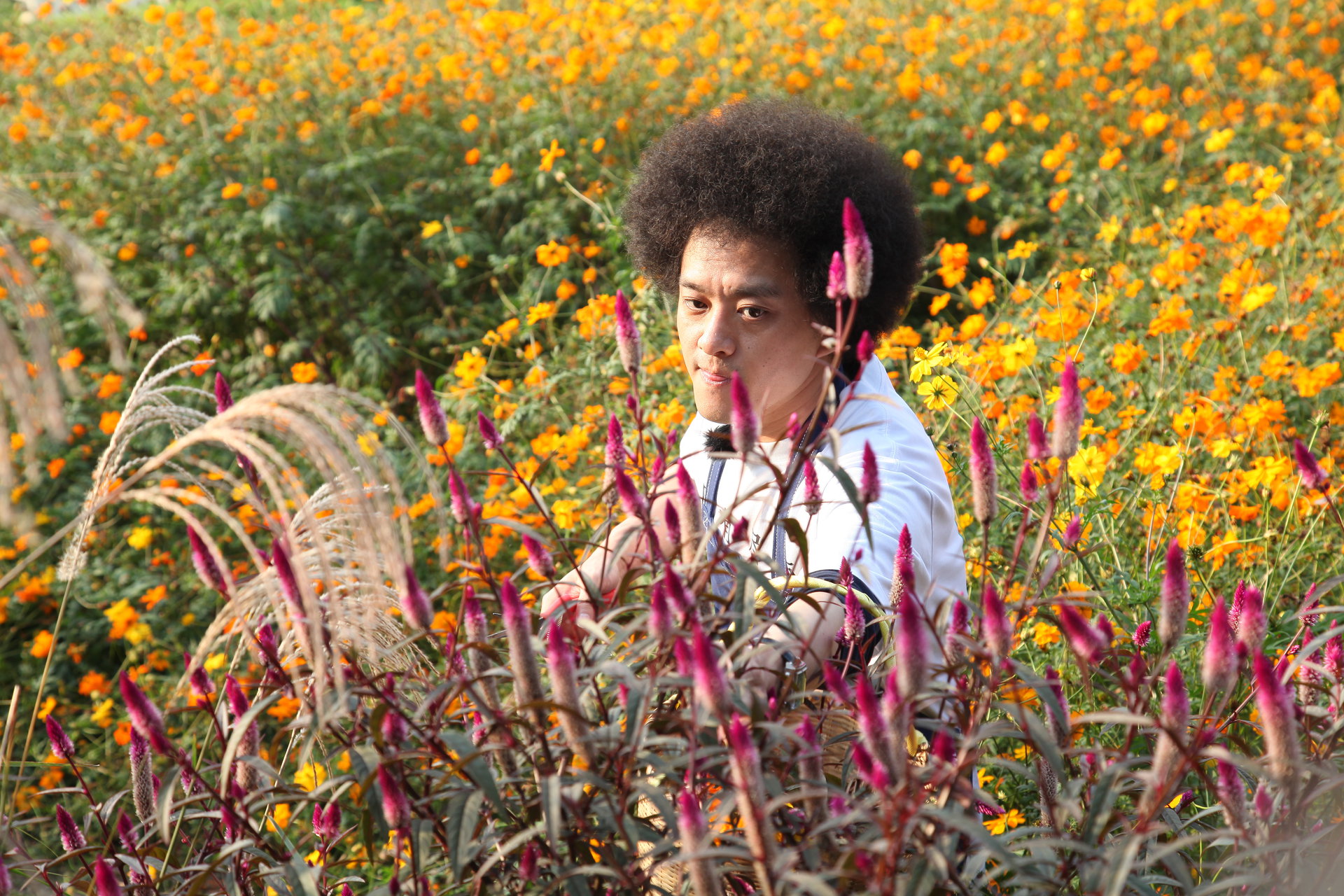  p>赵英俊 i>(1977年7月28日～2021年2月3日) /i>,原名赵健,出生于 a