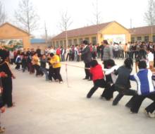 拔河比赛的团队协作