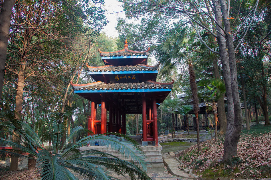  p>湖南省森林植物园,也被称为天际岭国家森林公园,长沙植物园,1985年
